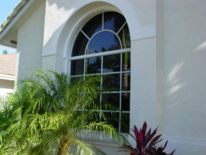 A long shot of the window and plants